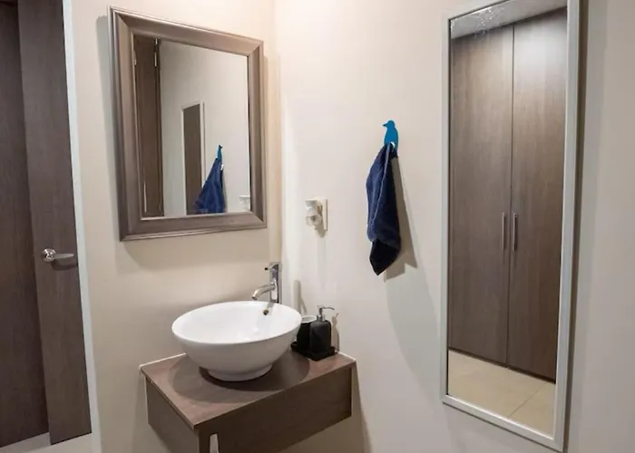 Apartamento Hermoso Loft En La Roma México DF